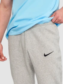 Брюки NIKE Park 20 модель CW6907-063 Фото