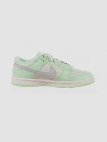 Кроссовки NIKE Dunk Low Nn Se модель FN6344-001 Фото