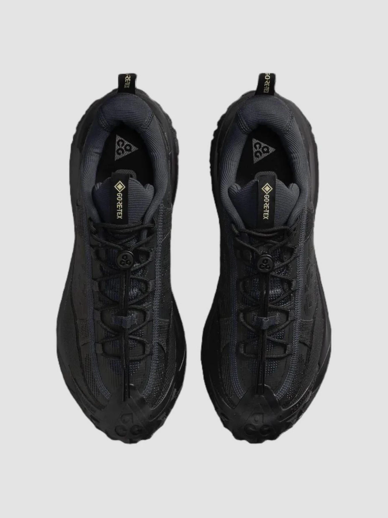 Кросівки NIKE Acg Mountain Fly 2 Low Gore-Tex модель HF6245-001 Кросівки NIKE Acg Mountain Fly 2 Low Gore-Tex модель HF6245-001 Фото