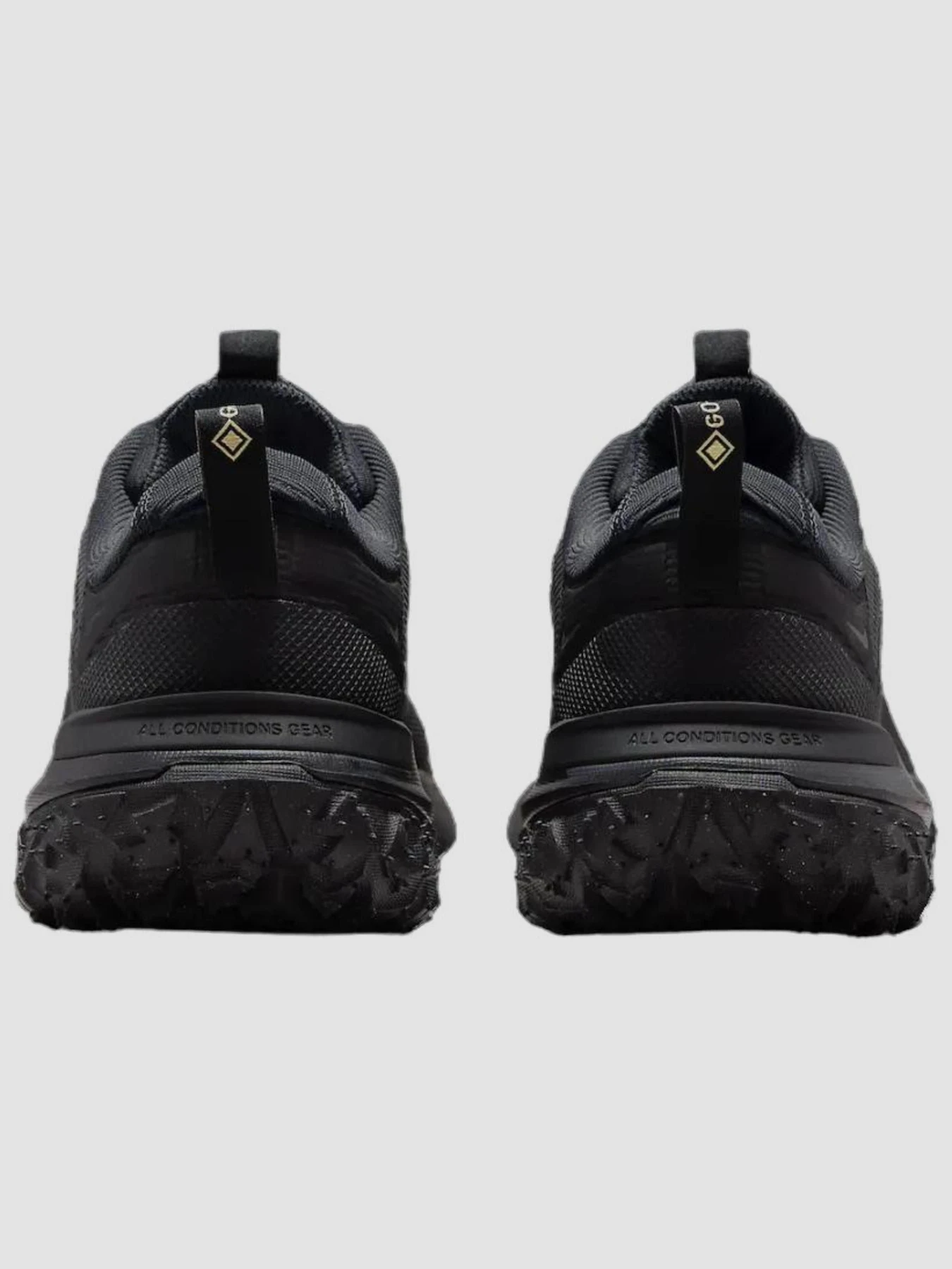 Кросівки NIKE Acg Mountain Fly 2 Low Gore-Tex модель HF6245-001 Кросівки NIKE Acg Mountain Fly 2 Low Gore-Tex модель HF6245-001 Фото