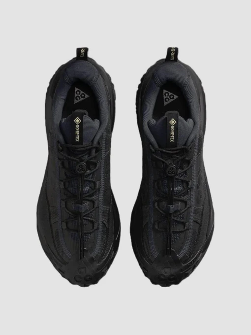 Чоловічі Кросівки повсякденні NIKE Acg Mountain Fly 2 Low Gore-Tex фото 3