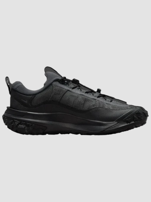 Кроссовки NIKE Acg Mountain Fly 2 Low Gore-Tex модель HF6245-001 Фото