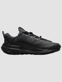 Кроссовки NIKE Acg Mountain Fly 2 Low Gore-Tex модель HF6245-001 Фото