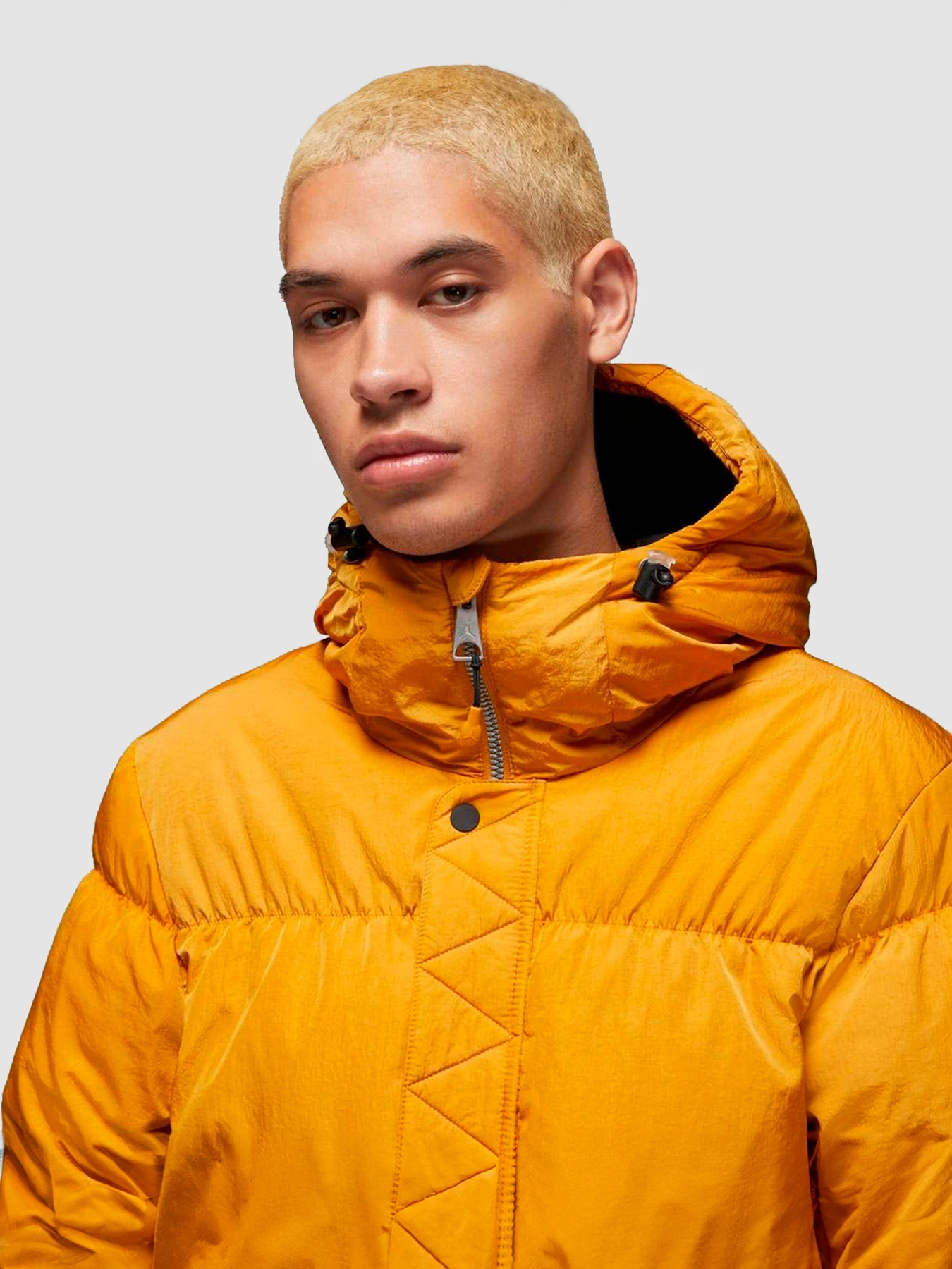 Куртки и дубленки Jordan Ess Stmt Parka модель DQ7346-712 Фото