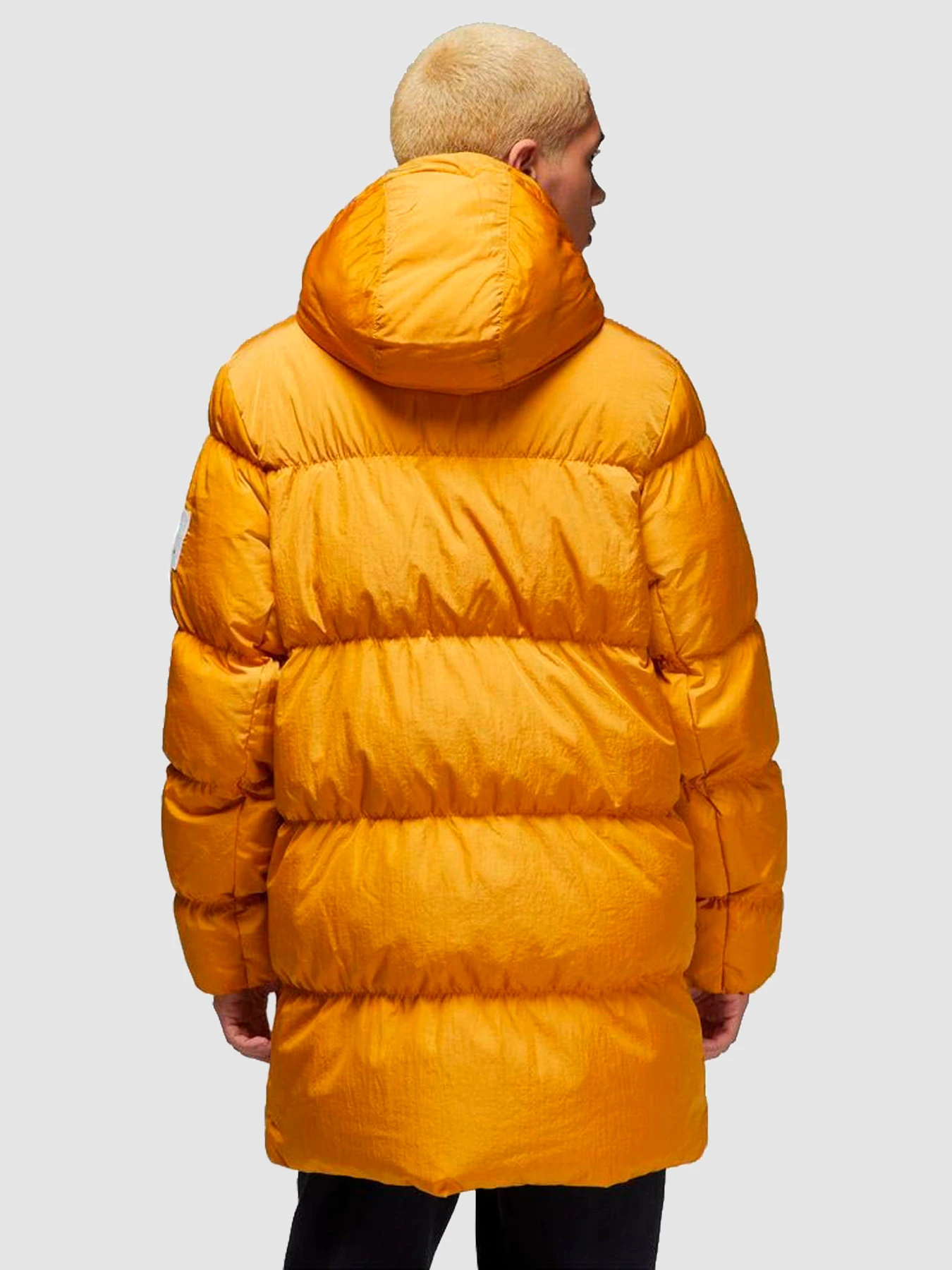 Куртки и дубленки Jordan Ess Stmt Parka модель DQ7346-712 Фото
