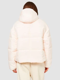 Куртки та дублянки NIKE Nsw Esstl Thrmr Clsc Puffer модель FB7672-838 Фото