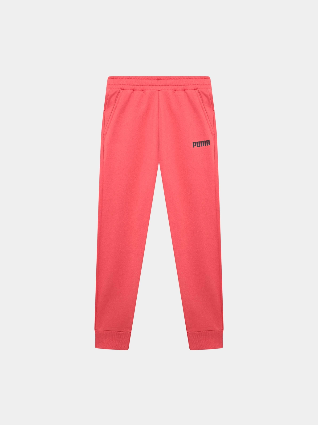 Брюки PUMA Ess Pants Fl Cl M модель 847233 Брюки PUMA Ess Pants Fl Cl M модель 847233 Фото
