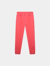 Брюки PUMA Ess Pants Fl Cl M модель 847233 Фото