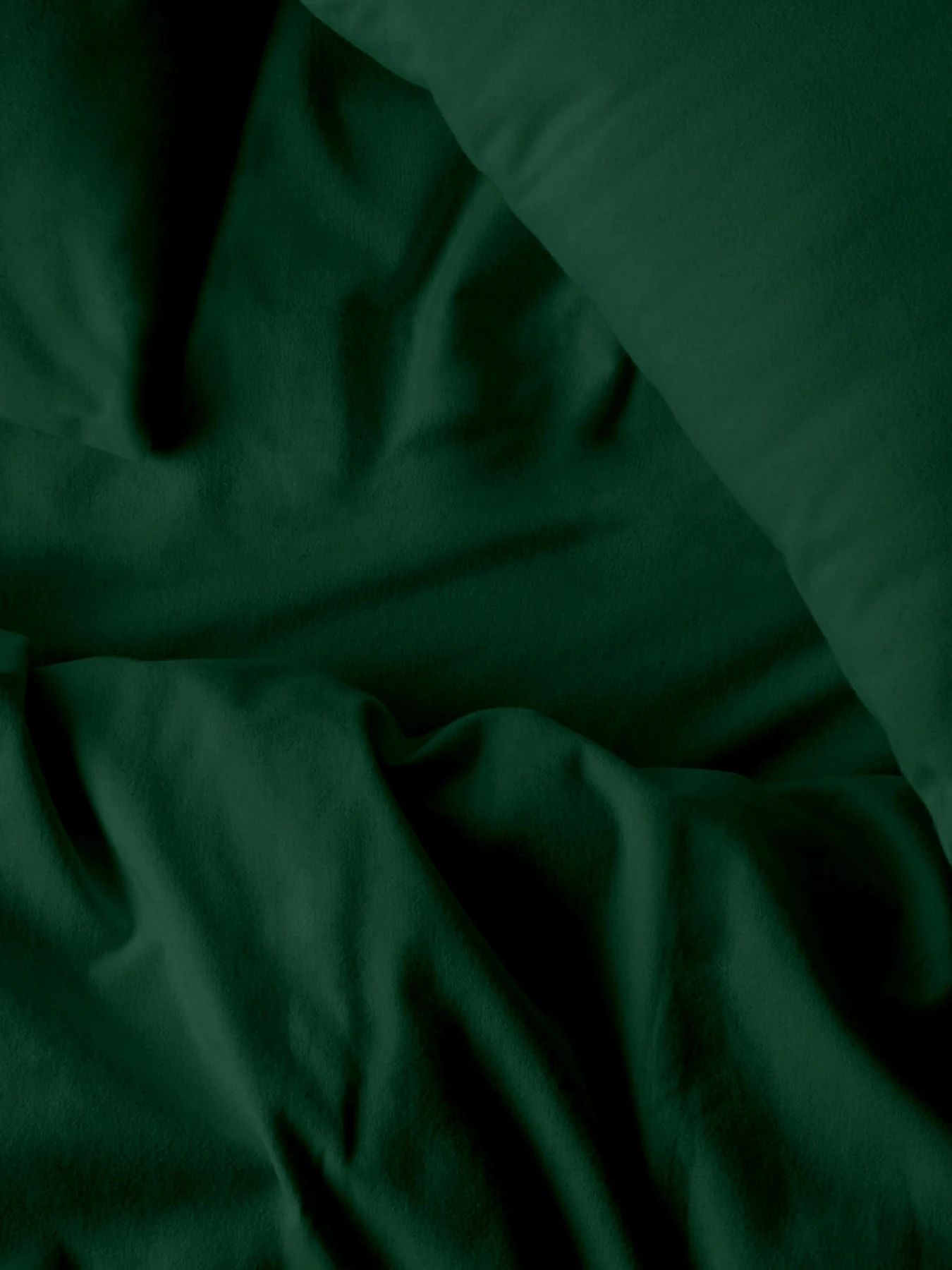 Наволочка фланель PINE Cosas модель Flannel_59Pine_40x60 Наволочка фланель PINE Cosas модель Flannel_59Pine_40x60 Фото