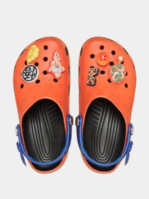 Шлёпанцы Crocs модель 210826MLT Фото
