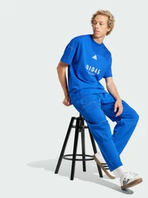 Футболки и поло Adidas модель JJ3661 Фото