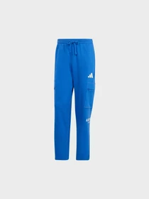 Брюки Adidas модель JJ3663 Фото