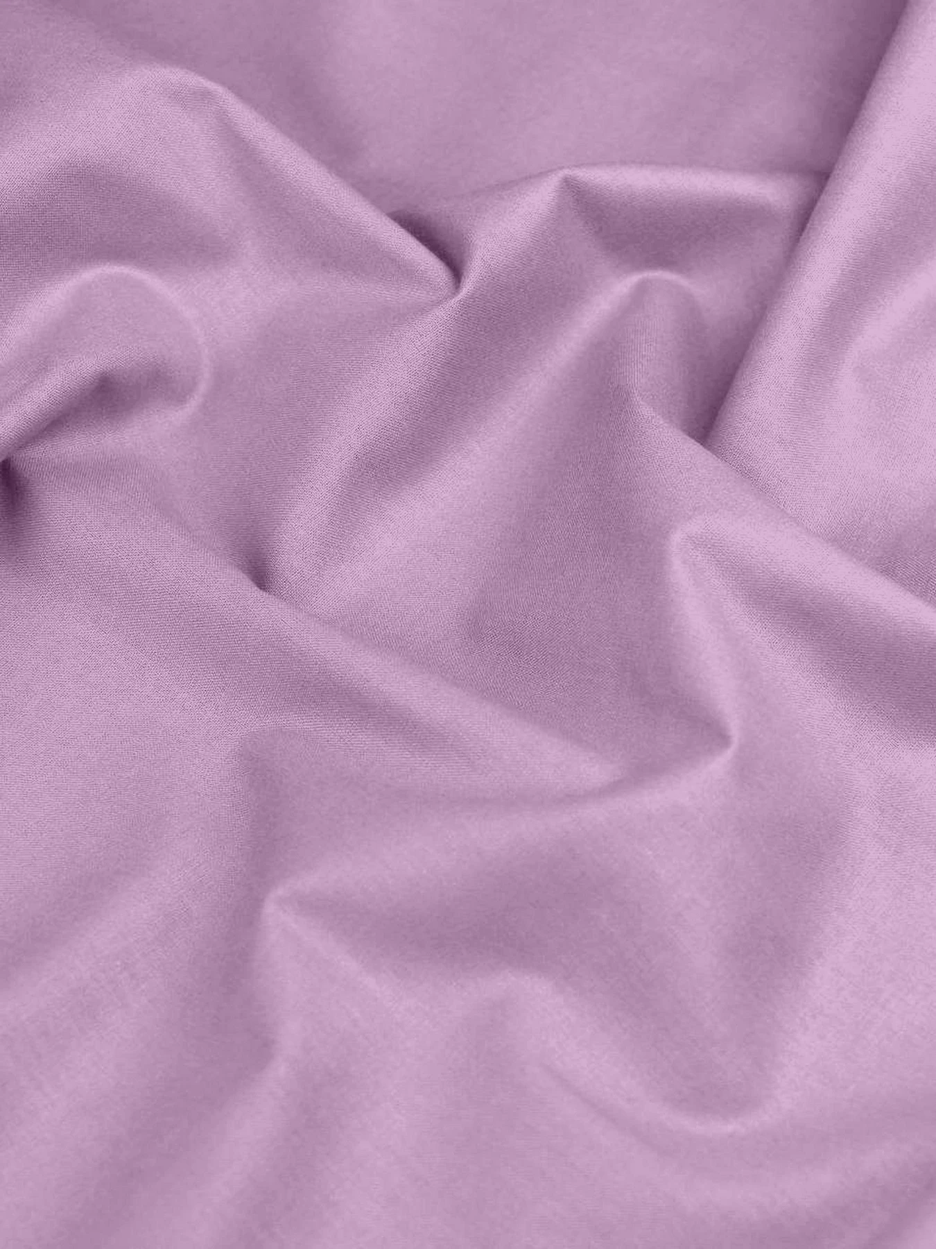 Набір наволочок на подушку CAMELLIA Cosas модель SetPillow_46RanforsCamellia_40x60 Набір наволочок на подушку CAMELLIA Cosas модель SetPillow_46RanforsCamellia_40x60 Фото