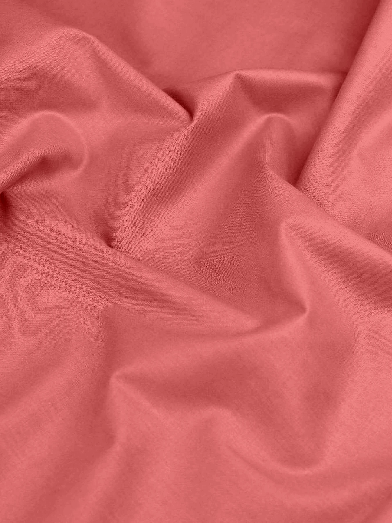 Набір наволочок на подушку ROSETTE Cosas модель SetPillow_43RanforsRosette_40x60 Набір наволочок на подушку ROSETTE Cosas модель SetPillow_43RanforsRosette_40x60 Фото