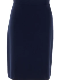 Юбки LadyLike модель ll194320063-sinij Фото