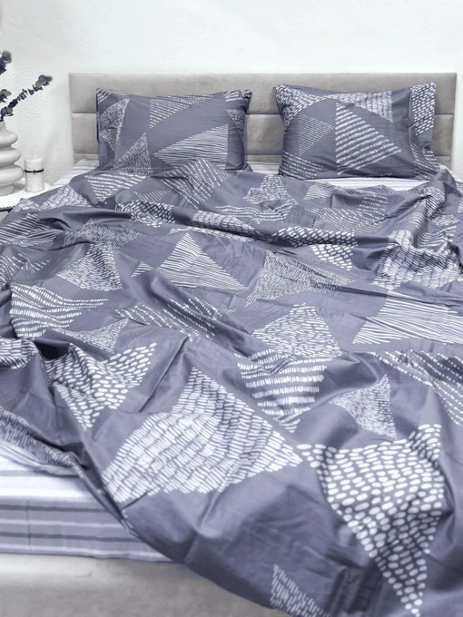Комплект постельного белья двусторонний Геометрическая Абстракция Ecotton модель 23749 Фото