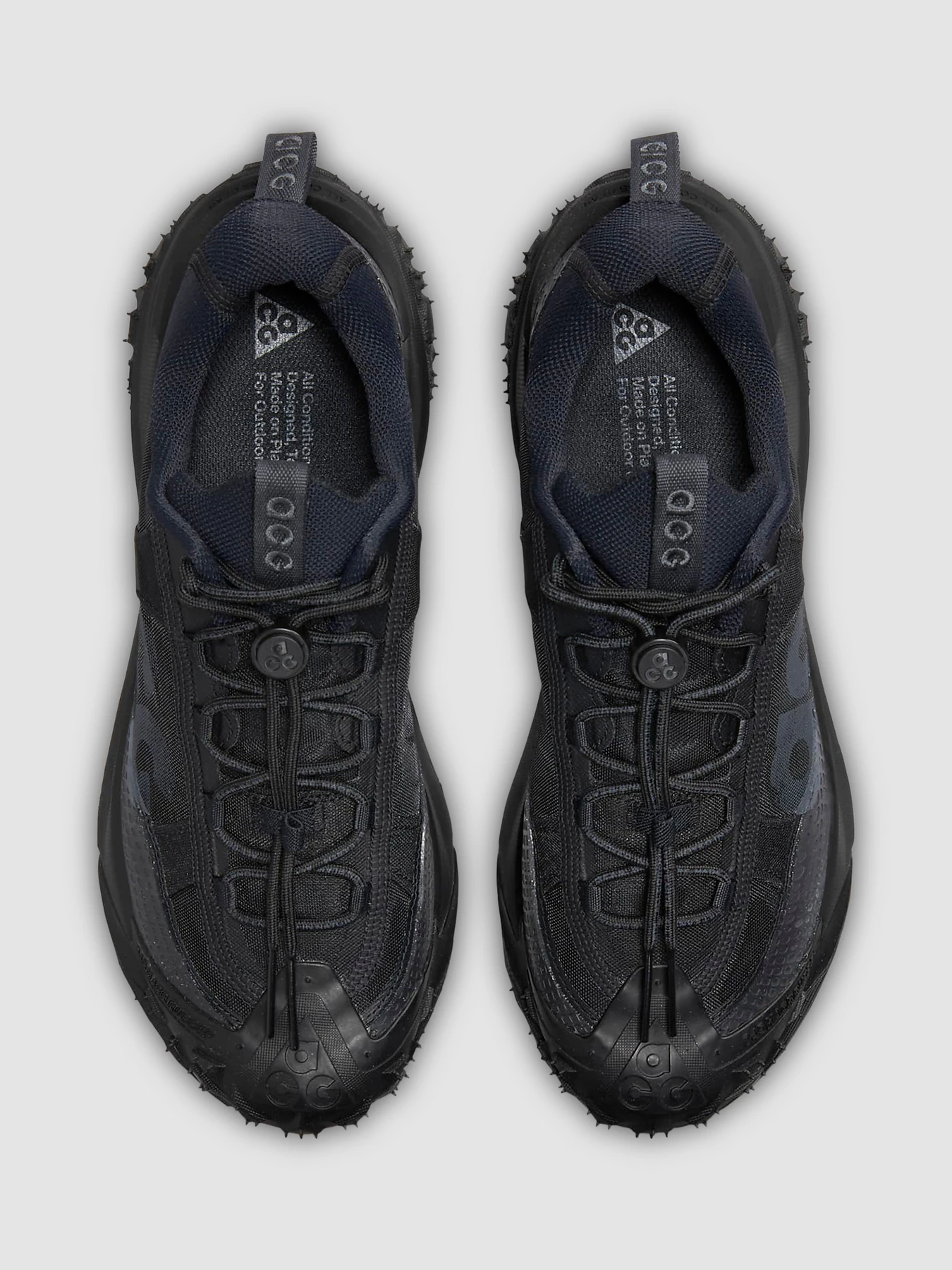 Кросівки NIKE Acg Mountain Fly 2 Low модель DV7903-002 Фото