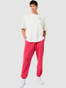 Брюки NIKE M J Ess Stmt Wash Flc модель FB7298-619 Фото