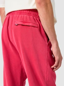 Брюки NIKE M J Ess Stmt Wash Flc модель FB7298-619 Фото