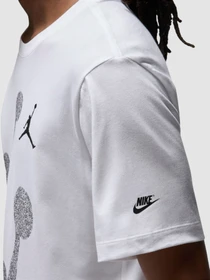 Футболки и поло Jordan Brand Ss Hbr Crew модель FN6025-100 Фото