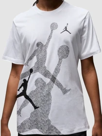 Футболки и поло Jordan Brand Ss Hbr Crew модель FN6025-100 Фото
