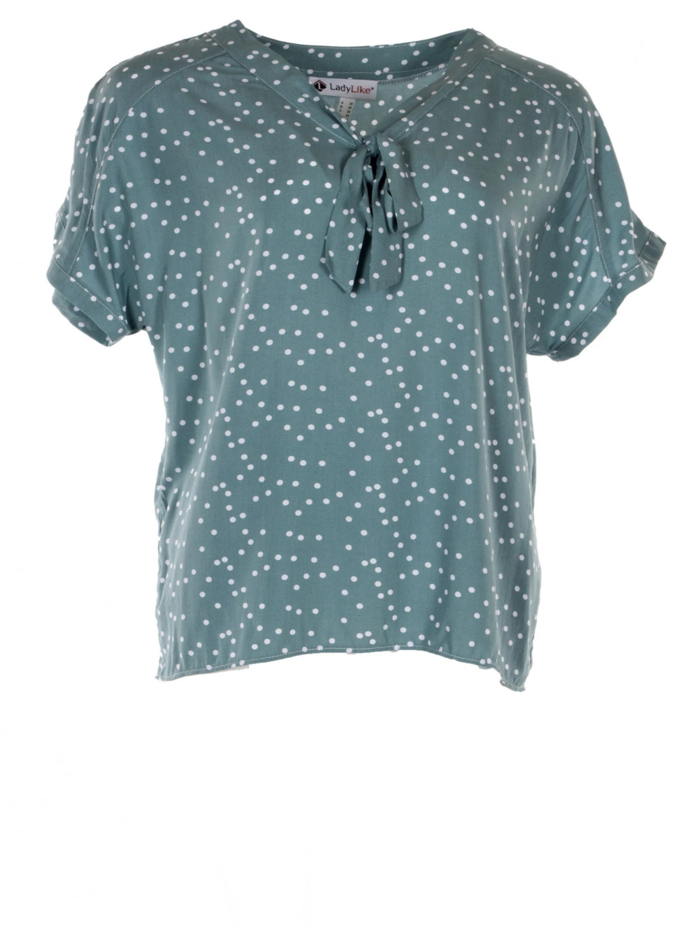 Сорочки LadyLike модель ll191713347-mqtnij Сорочки LadyLike модель ll191713347-mqtnij Фото