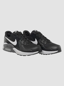 Кросівки NIKE Air Max Excee модель CD4165-001 Фото