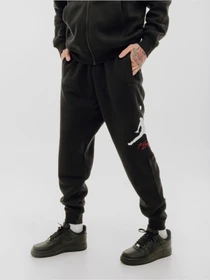 Брюки Jordan Essentials Fleece Baseline Trousers модель FD7345-010 Фото