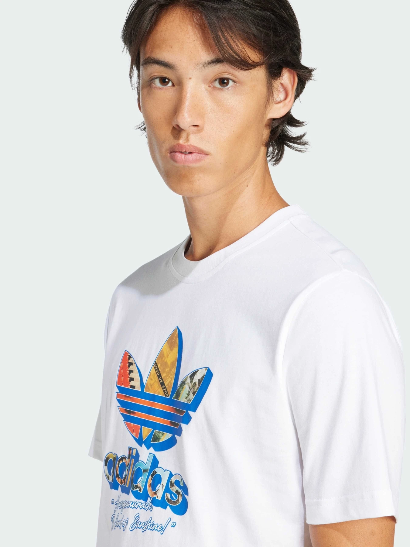 Футболки и поло Adidas Graphics модель JD0708 Фото