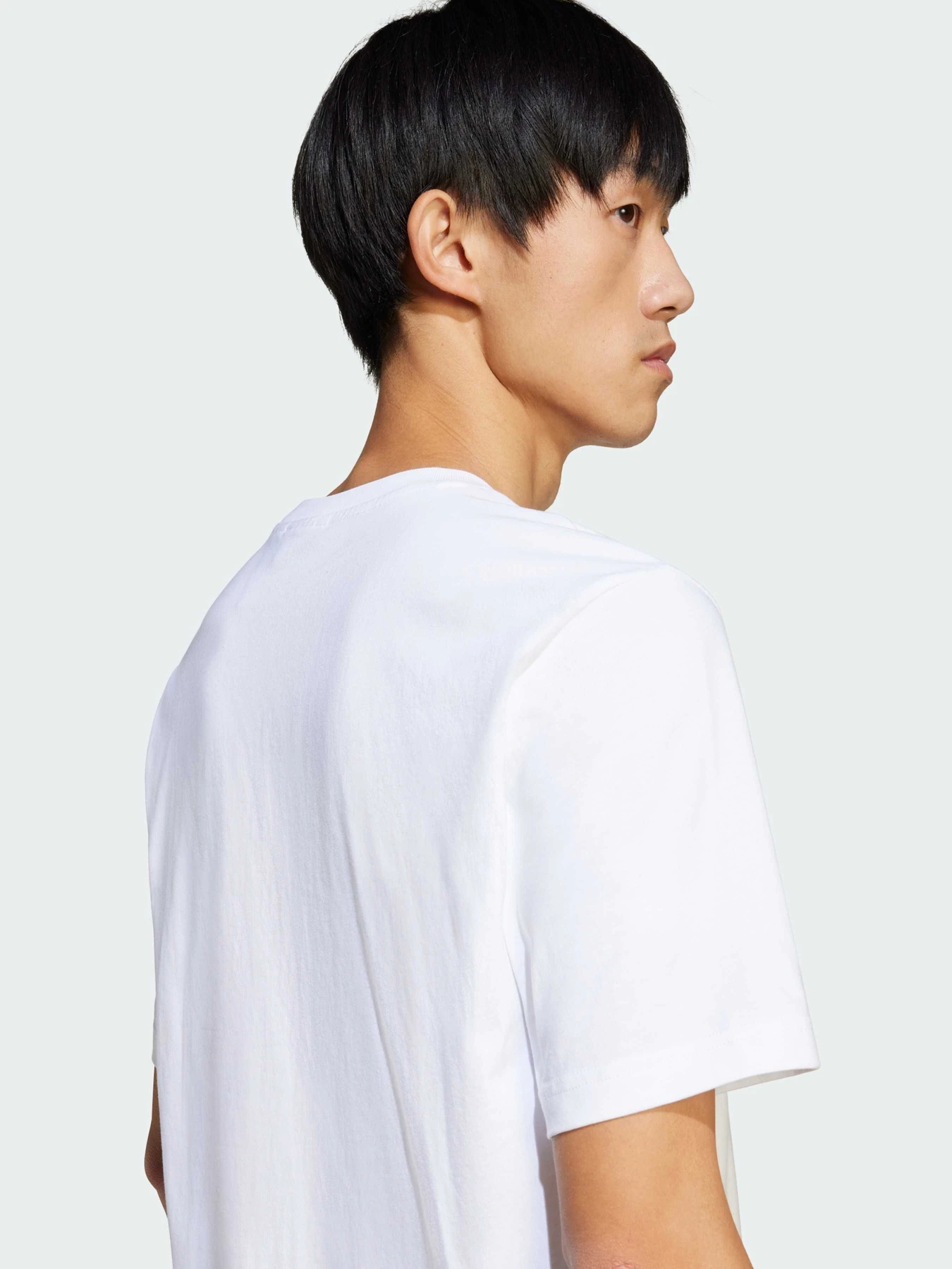 Футболки и поло Adidas Graphics модель JD0706 Футболки и поло Adidas Graphics модель JD0706 Фото