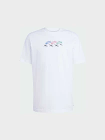 Футболки и поло Adidas Graphics модель JD0706 Фото