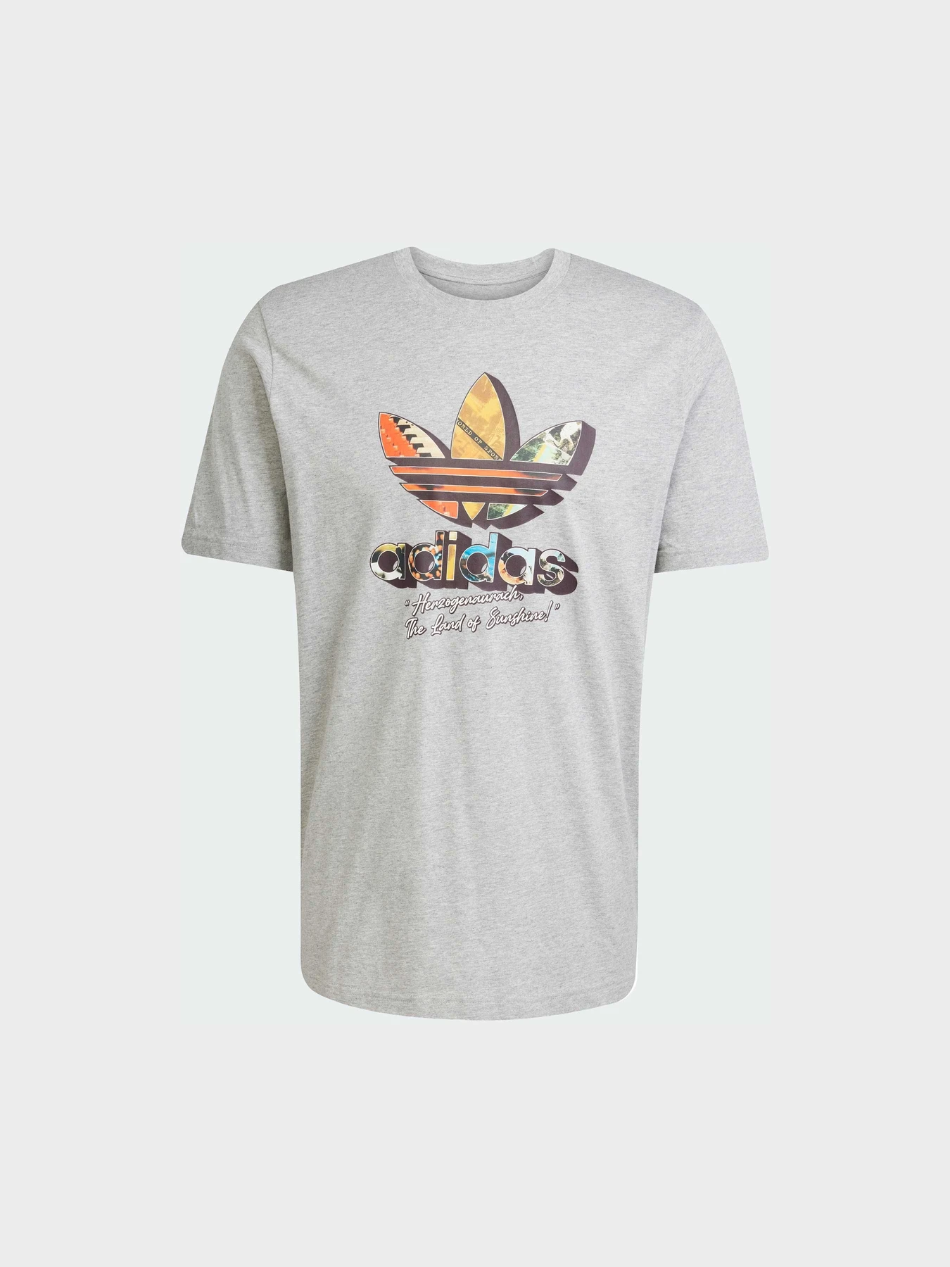 Футболки и поло Adidas Graphics модель JP4495 Фото
