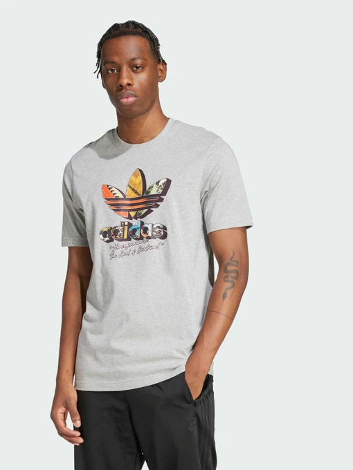 Футболки і поло Adidas Graphics модель JP4495 Фото