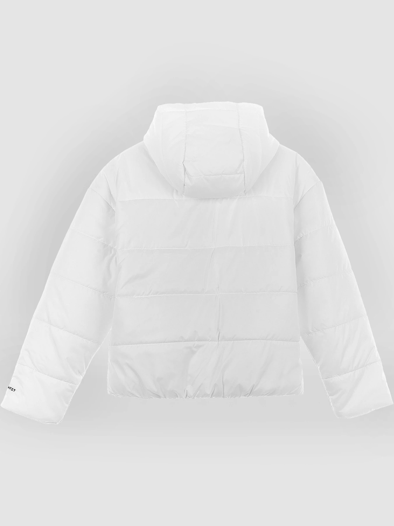 Куртки и дубленки NIKE Sportswear Therma-Fit Repel модель DX1797-121 Куртки и дубленки NIKE Sportswear Therma-Fit Repel модель DX1797-121 Фото