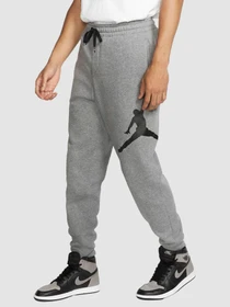 Штани Jordan Jumpman Logo Fleece Pant модель BQ8646-091 Фото