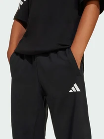 Брюки Adidas 3 Stripes модель JD1298 Фото