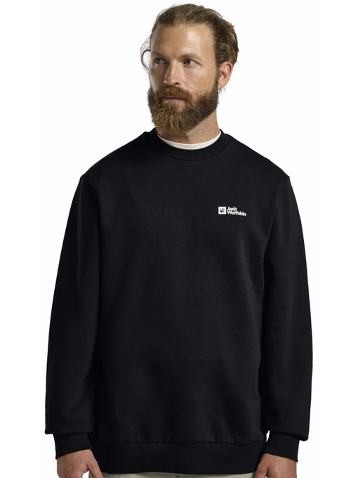 Худи и свитшоты Jack Wolfskin Essential crewneck m модель A63843_C0413 Фото