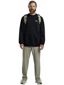 Худі та світшоти Jack Wolfskin Essential crewneck m модель A63843_C0413 Фото