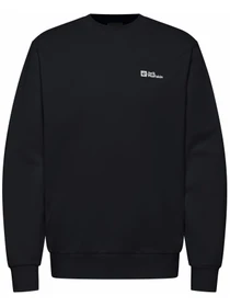 Худі та світшоти Jack Wolfskin Essential crewneck m модель A63843_C0413 Фото
