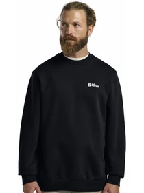 Худи и свитшоты Jack Wolfskin Essential crewneck m модель A63843_C0413 Фото