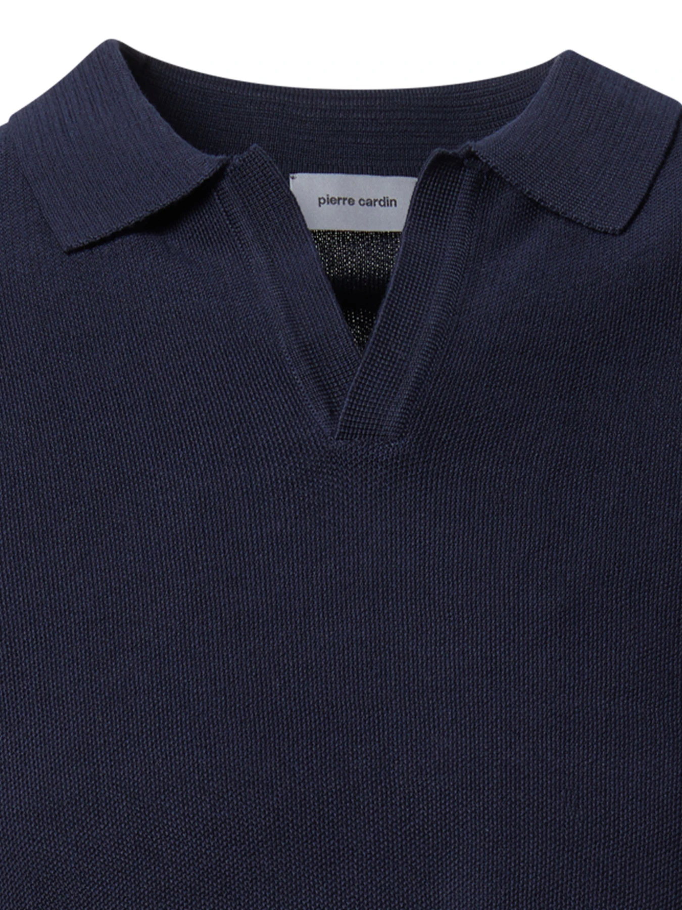 Футболки и поло Pierre Cardin модель C5 51304.5093.6325 Футболки и поло Pierre Cardin модель C5 51304.5093.6325 Фото