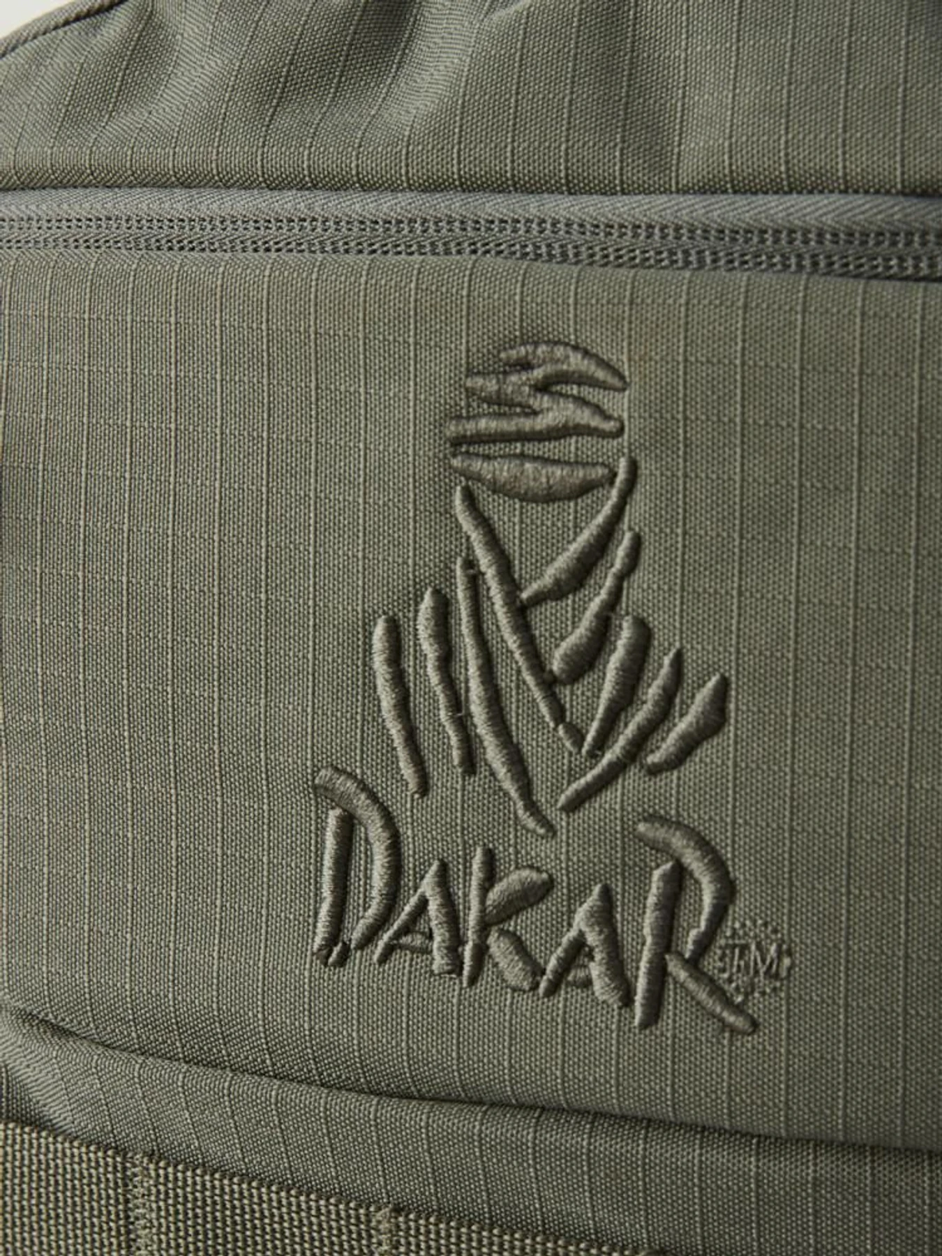 Рюкзаки DIVERSE модель 10045715 Рюкзаки DIVERSE модель 10045715 Фото