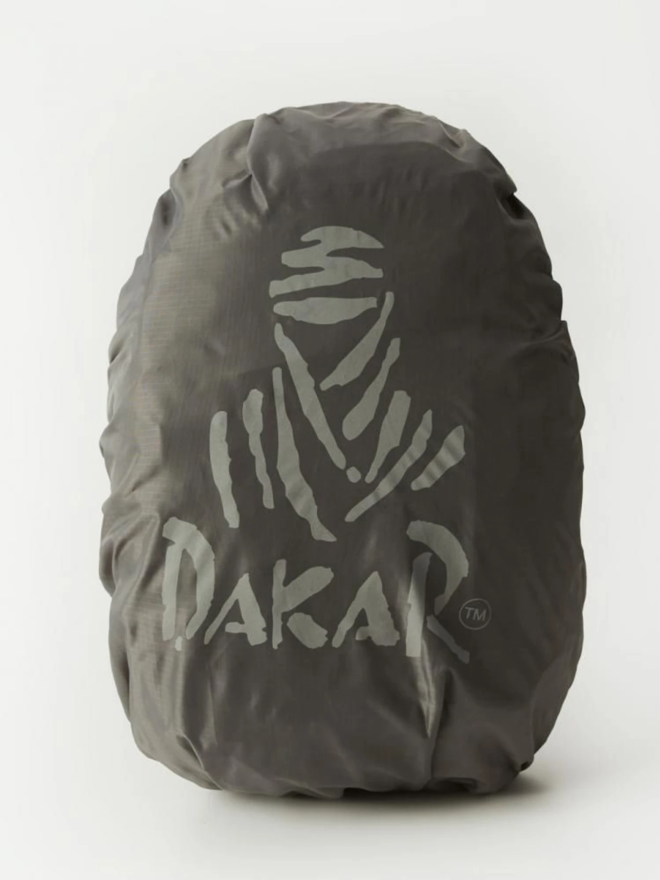 Рюкзаки DIVERSE модель 10045715 Рюкзаки DIVERSE модель 10045715 Фото