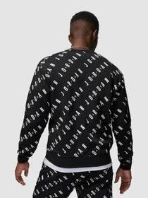 Худі та світшоти Jordan Graphic Fleece Crew-Neck Sweatshirt модель DX9173-010 Фото