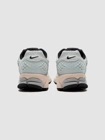 Кросівки NIKE КWmns Zoom Vomero 5 модель FN6742-002 Фото