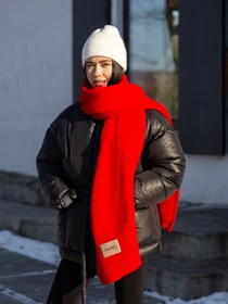 Шарфи та хустки Famo модель SH-W-03_04 Фото