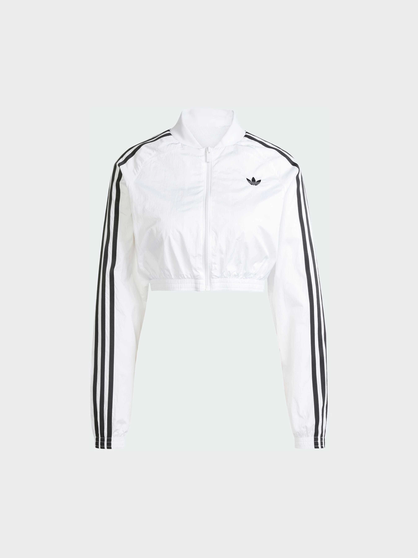 Худи и свитшоты Adidas Adicolor модель JD0265 Фото