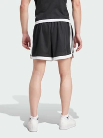 Шорты Adidas Adicolor модель IZ4800 Фото