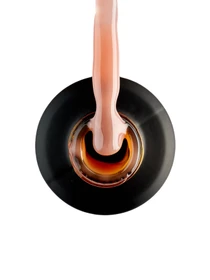 Однофазный гель с кистью Builder Gel GLOSS Naked Builder Gel GLOSS COMPANY модель 4823271408643 Фото