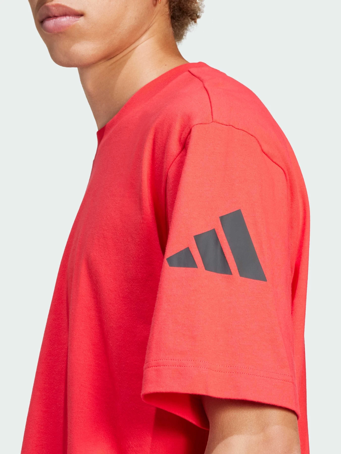 Футболки и поло Adidas модель JF3617 Футболки и поло Adidas модель JF3617 Фото